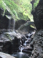 Watkins Glen